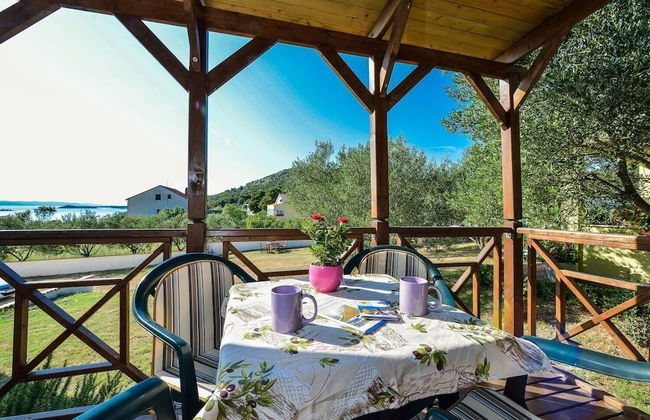 Iva - Great Garden - H - Photo 1