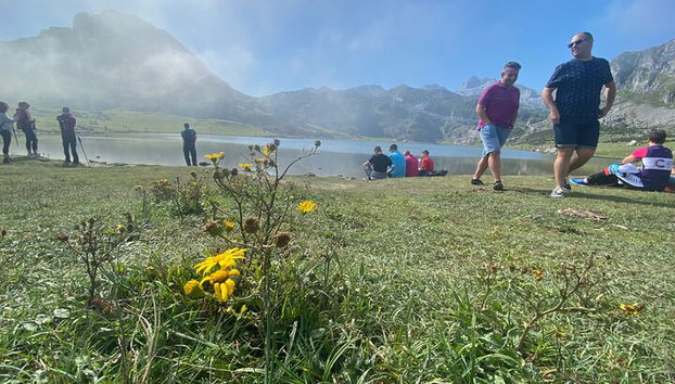 Private Tour from Oviedo to Covadonga, lakes, & sailors villages - Photo 4