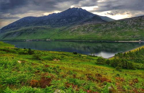 Oaktree Manor - BBQ, games rooms and pet friendly - Photo 40