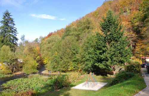 Ferienwohnungen Treseburg "Zur Bodehexe" - Foto 40