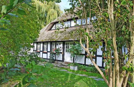 NEU angeboten Mönchguter Ferienhaus u Reetdach mit Kamin - Foto 12