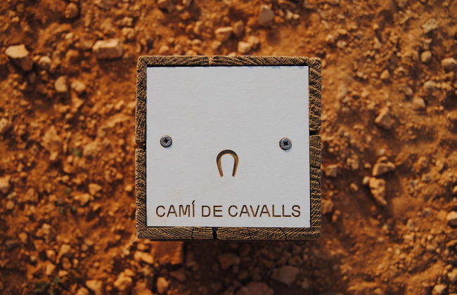 Beach Club - Foto 48