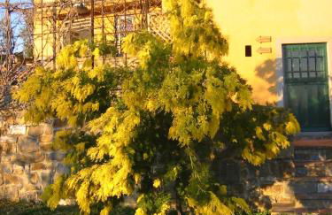 Il Casalone - Foto 39