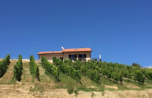 Modern villa with panoramic view - Photo 30