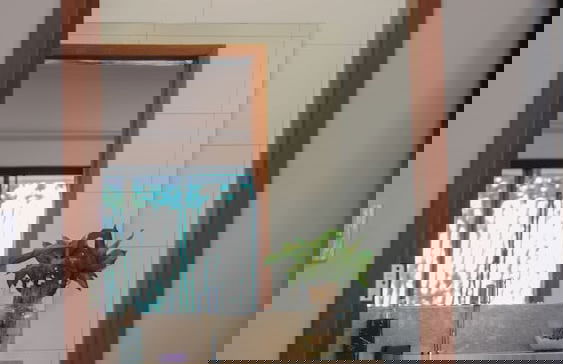 Vila Flor - Chapada dos Veadeiros - Foto 62