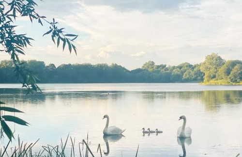 NEW Squirrels Leap Lake Views with Spa Access - Foto 32