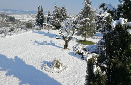 Montloubier - Photo 13