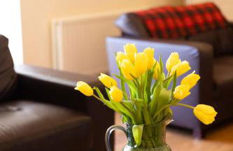 Craiglea Lodge & Barn - Foto 15