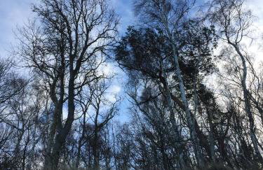 Apartament_20 - Foto 22