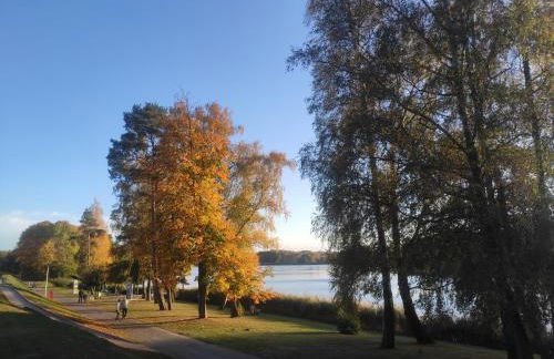 Alter Schulgarten - Foto 27