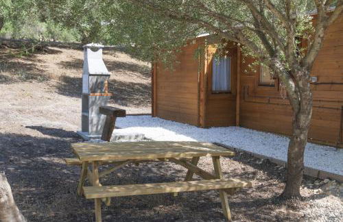 Finca Florida - Foto 31