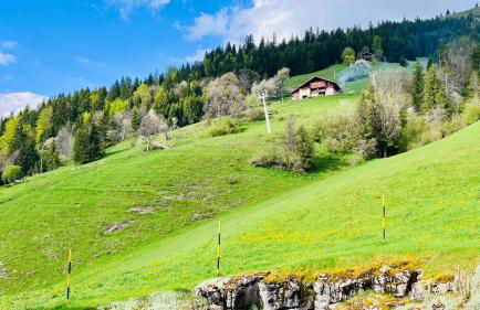 Cocon alpin rénové - Accès direct aux pistes - Foto 18