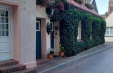 Plüschmors - Photo 26