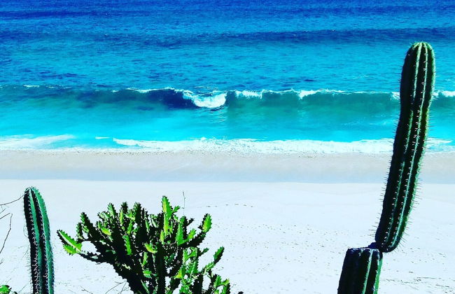 Loft, Queen and Single Bed, Kitchen-dining Room-outside Terrace - Foto 17