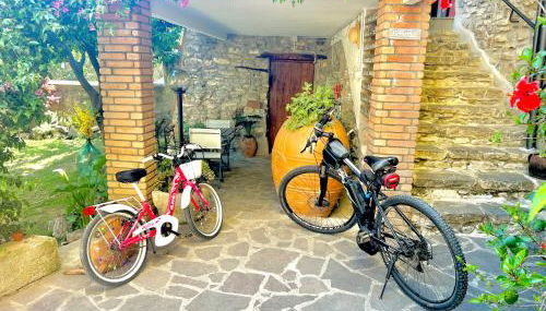 Corte degli Ulivi - Foto 2