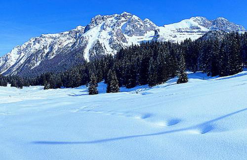 Campiglio Trilocale Monte Spinale - Foto 9