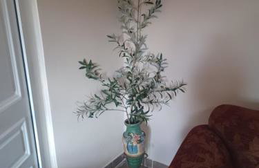 Olive holiday home - Photo 34