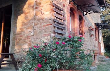 Terrazza sul Chianti - Photo 35