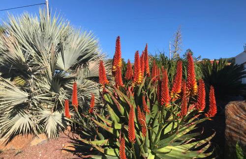 Casa Lucia - Foto 11