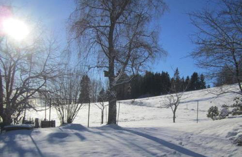 Ferienwohnung im Schwarzwald mit Garten - Foto 36