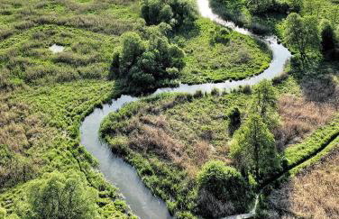 Uroczysko Lubiaszów - Foto 71