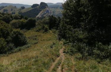 Az. Agr. IL PARADISO di Beatrice Bondielli - Foto 12