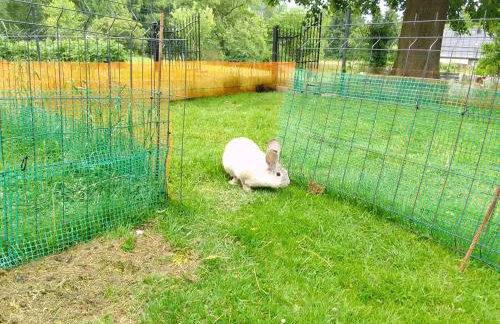 Agroturystyka Polana Giebułtów obok Świeradowa i zamku Czocha, domki przyjazne rodzinom z dziećmi - Photo 32