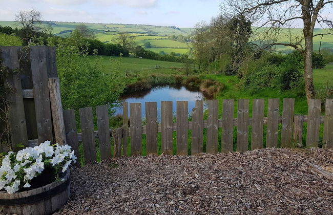 Eco Accommodation Cornflower Holiday - Foto 4