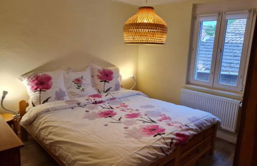 Les Chouchous du Ried 2 - Foto 14