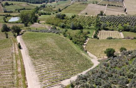 Poggio al Sole - Foto 25