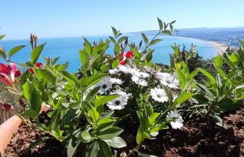 OLTRE CONFINE fronte mare - Foto 25