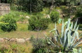 T2 vue mer & montagne Golfe de Porto-Ota - Foto 40