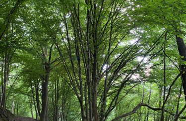 Ferienwohnung Burkhart - Foto 26