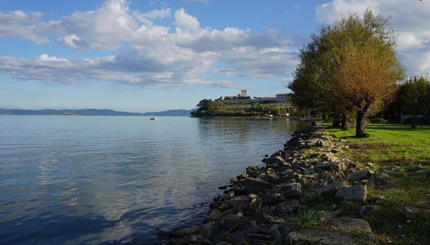 Mustard apt With Shared Pool - Foto 2, Habitación