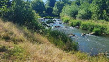 Apartment "Zur Rotbuche" - Foto 2