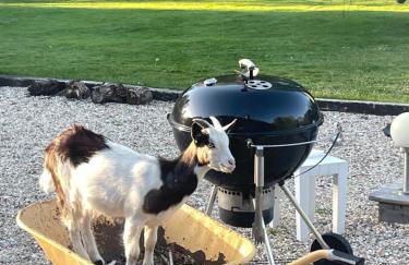 Les Gites de Claire - Foto 1