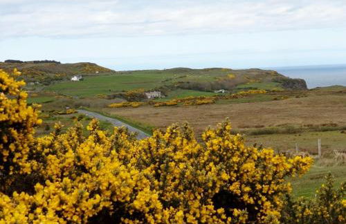 Glenmore House - Foto 19