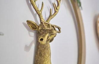 Vivienda Oasis Feria - Foto 6