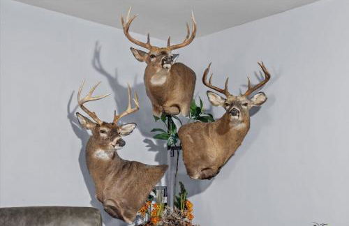 Cozy Farmhouse - Fireplace, Backyard, BBQ, Games - 3 MIN TO CAMELBACK - Foto 32