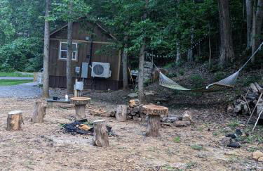 Carlton Cabin at Lake of Egypt 500 Sq Ft - Photo 62