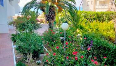 Margaritas - Foto 1, Garden