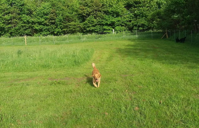 4 Person Holiday Home in Nibe-by Traum - Foto 9