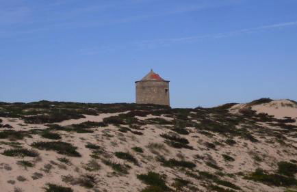 Blue Ocean - Foto 35