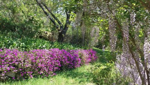casa das laranjeiras - Foto 2