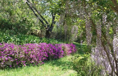 casa das laranjeiras - Foto 2