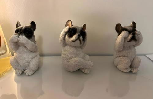 Charmant Studio climatisé Paris Expo Porte de Versailles - Dôme de Paris - proche des transports - Foto 6