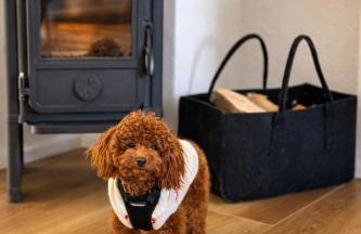 Sunset Club - Alpenblick Apartment - Sauna - Parkplatz - Foto 6