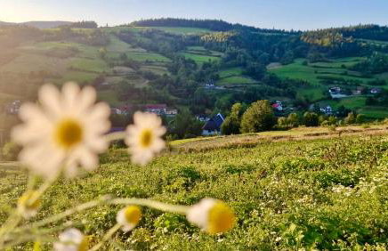 Gorczańska Przystań - Foto 62
