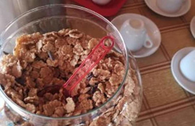 Il Nibbio Reale Country House - Foto 19