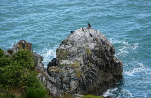 Studio des Rosaires - Foto 13